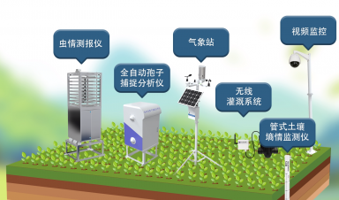 智慧農業創新方案，賦能農業現代化轉型新征程